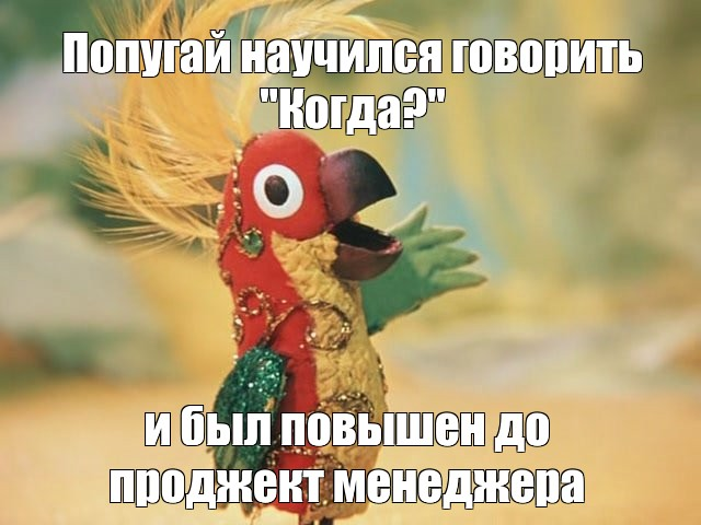 Когда?